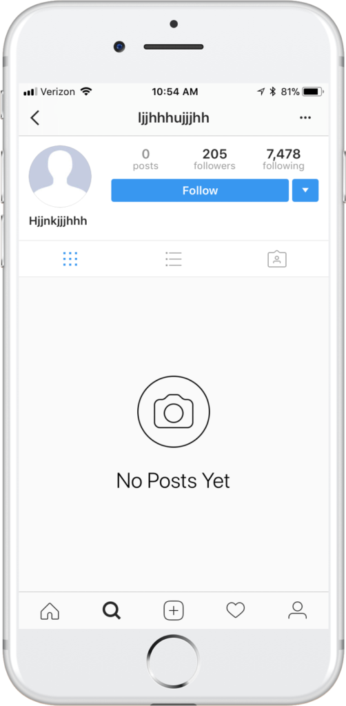 Fake Instagram Account